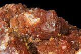 Natural, Red Quartz Crystal Cluster - Morocco #142939-3